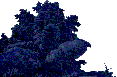 星空と雪に覆われた樹木